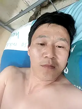 wadmma 网络视讯表演