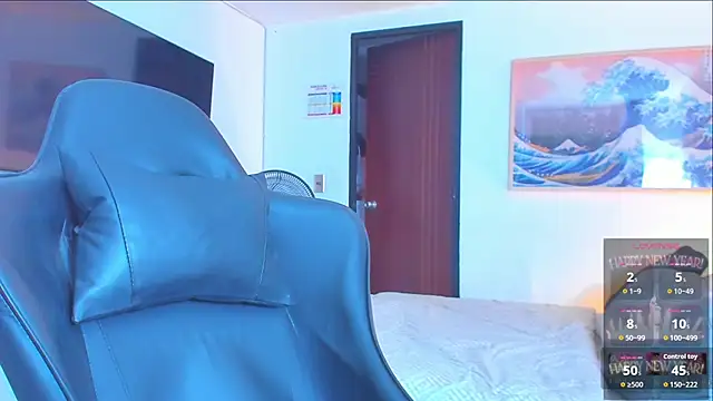 RJBarto 网络视讯表演