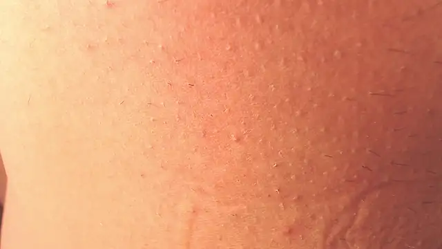 Webkamerová show camila_diez