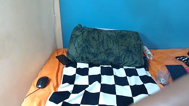 Show Webcam de Tallatoya2026