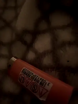 Show webcam de benhadj71