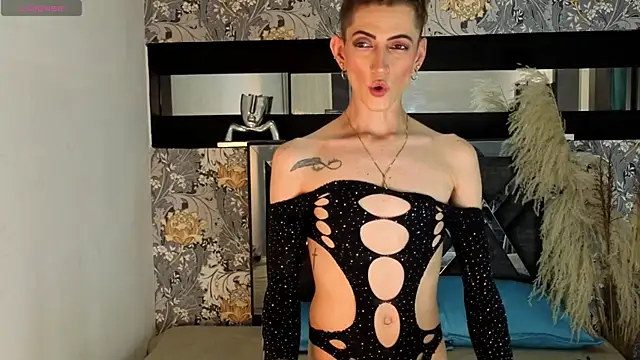 dominic_thailor – Kamerová šou