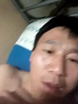 wadmma 网络视讯表演