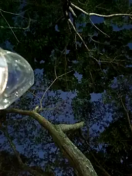 Cata_city1106n Live XXX chat