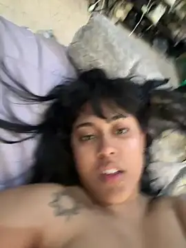 Show webcam de pawmistry