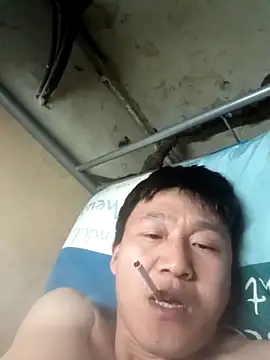 wadmma 网络视讯表演