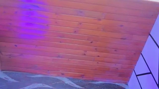 ELL_PBC 现场XXX聊天