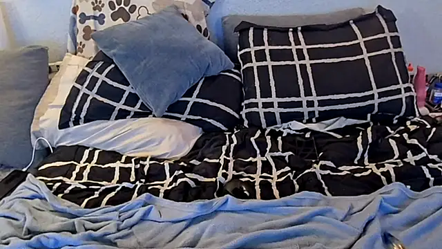 Show Webcam de pyrowuff