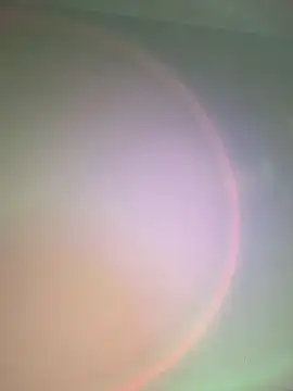 GiannaMagari_ Live XXX-chat