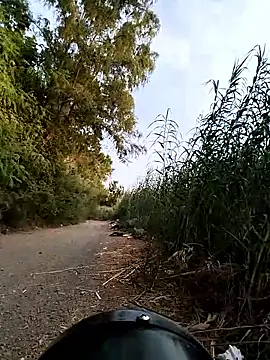 Вебкам-шоу Clery_lin