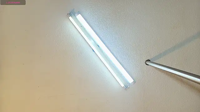 aaron_antonella_mds Show in webcam