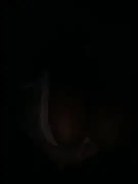 m_yummyshish live XXX chat