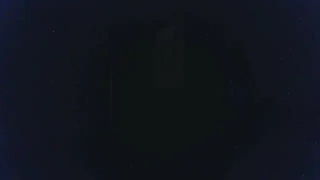 Chatroom XXX en direct de Buffshagswell