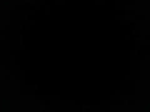 Show de webcam de plTop40