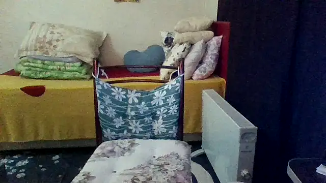 แชท XXX สดของ st206boy