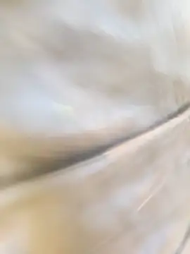 Poly_bhabi 在線直播表演