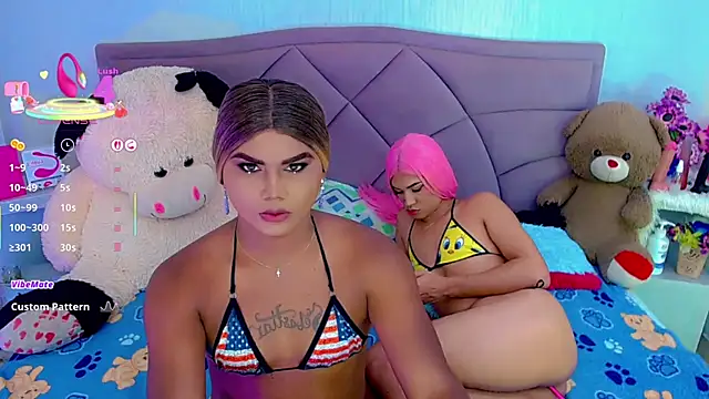 Show Webcam de party_duo_trans
