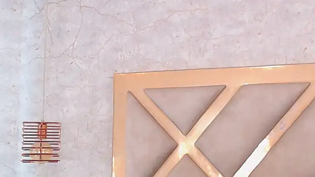 Sembang XXX Secara Langsung JoannaStanford