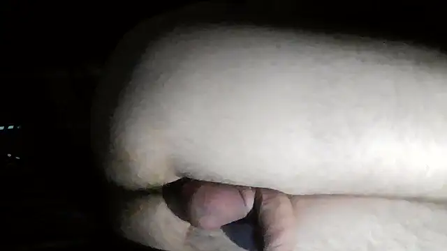 ChassedRippling – webcam-show