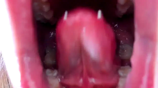 Luna_Analya Live XXX-Chat