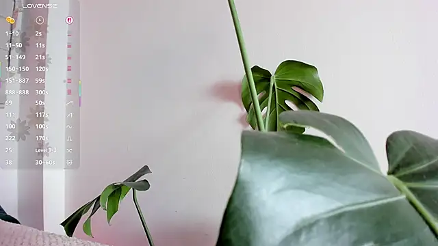 missweetpeach 라이브 XXX 채팅