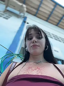 โชว์เว็บแคมของ VendiMur