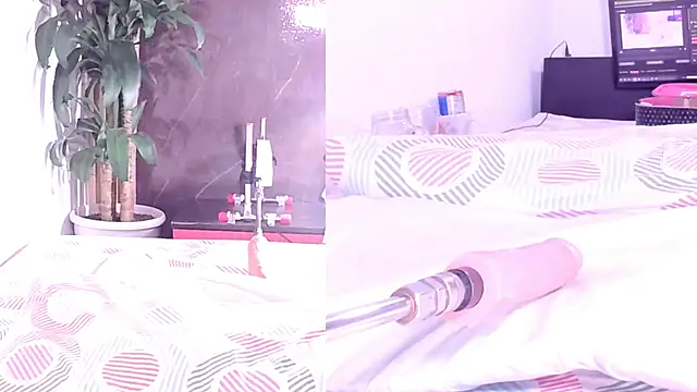 Sophia_Lovers01 라이브 XXX 채팅