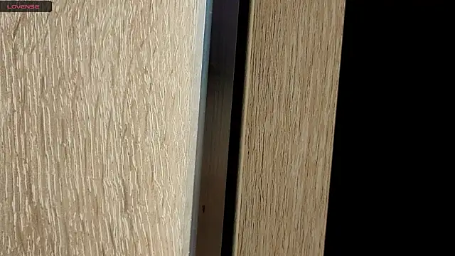 NoFace_Model Adlı Modelin Canlı XXX Sohbeti