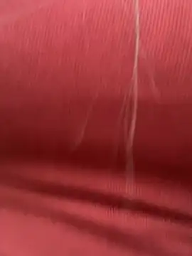 Angela_my 现场XXX聊天