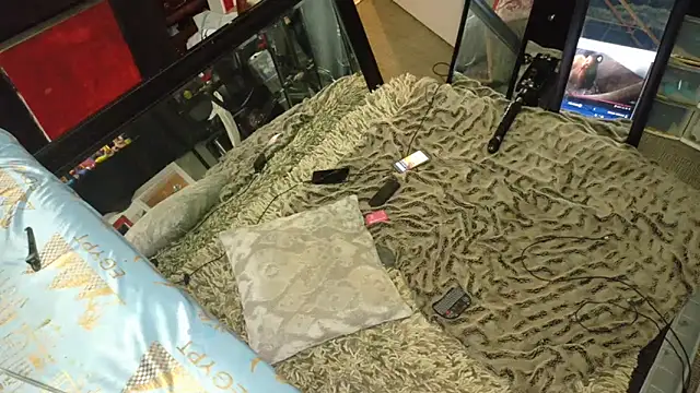 AQuickPhyx 在線直播表演