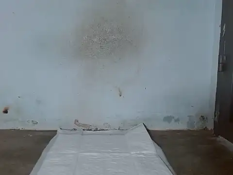 Boiboi2x 现场XXX聊天