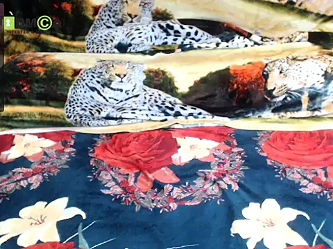 Chat XXX en directo de Queen_Sarah