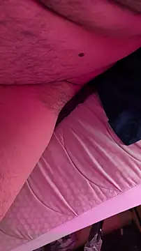 bearcloudcomputaのウェブカメラショー