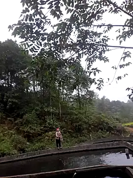 Tina6886 – Kamerová šou