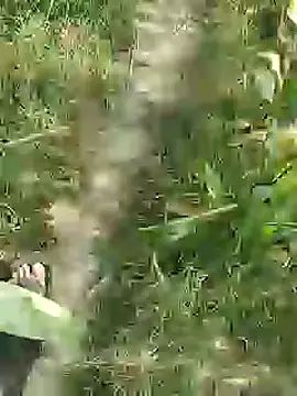 Chatroom XXX en direct de ThethunderPo