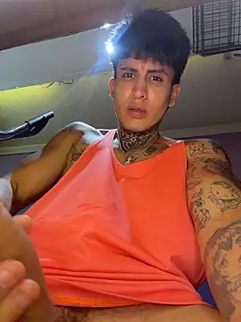 _Tomy08calderonn Webbikameraesitys