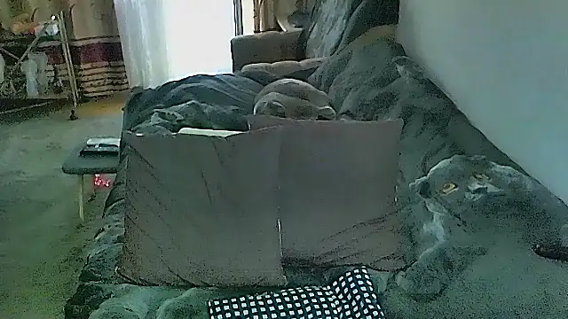 sex2: онлайн-секс-чат