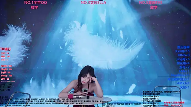 Wily-07n Webbikameraesitys