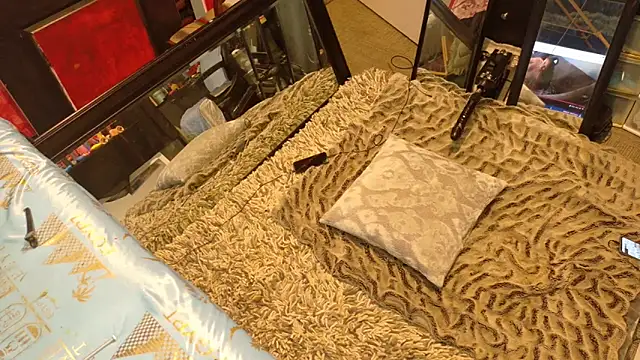 AQuickPhyx Chat XXX in diretta