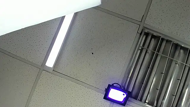 Aisha_hotts777 Live XXX-chat