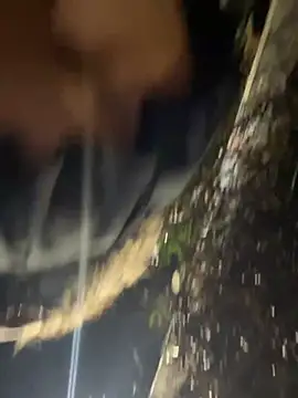 lindaandtonyのウェブカメラショー