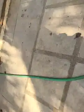 UAjit: απευθείας συνομιλία ΧΧΧ