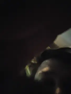 bigbog9323n Webbikameraesitys