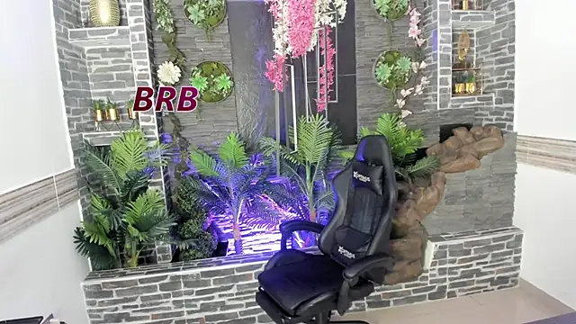 Show Webcam de Rpoolrboy