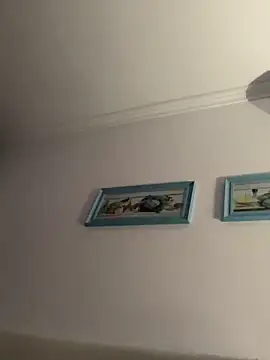 Domssecretom Webcam-Show