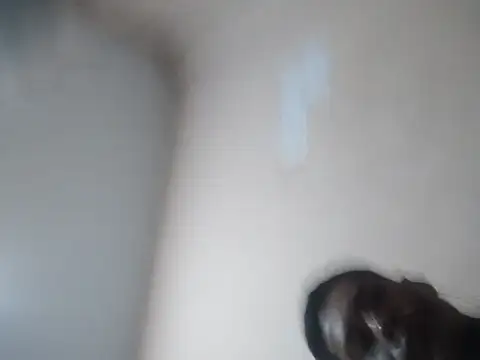 pappirico Webcam show