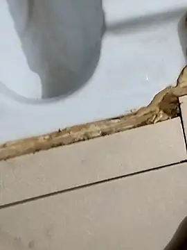 Show de ishan_Singh1 na webcam