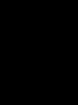 Show webcam de Ce3003