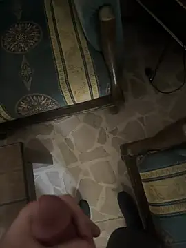 Risky3のウェブカメラショー