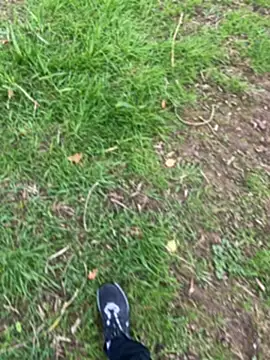 PayForThePaddy webkamerás műsora